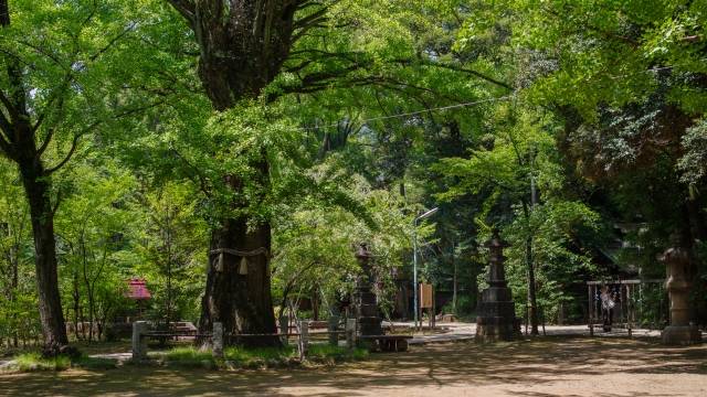 神社の境内