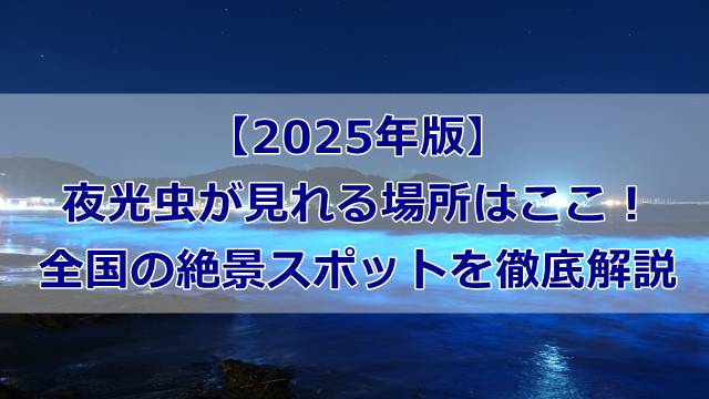 【2025年版】夜光虫が見れる場所はここ！全国の絶景スポットを徹底解説