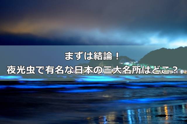 まずは結論！夜光虫で有名な日本の三大名所はどこ？
