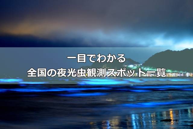 一目でわかる全国の夜光虫観測スポット一覧