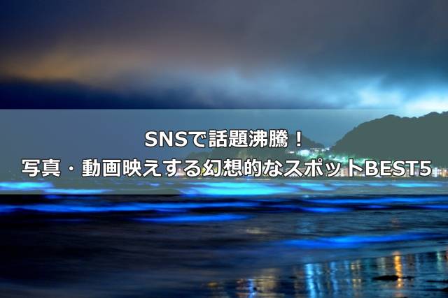 SNSで話題沸騰！写真・動画映えする幻想的なスポットBEST5