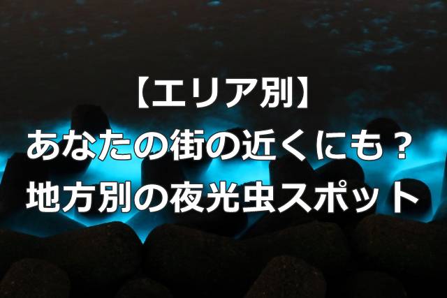 【エリア別】あなたの街の近くにも？地方別の夜光虫スポット