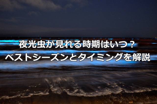 夜光虫が見れる時期はいつ？ベストシーズンとタイミングを解説