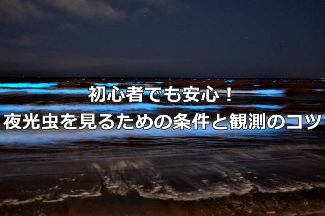 初心者でも安心！夜光虫を見るための条件と観測のコツ